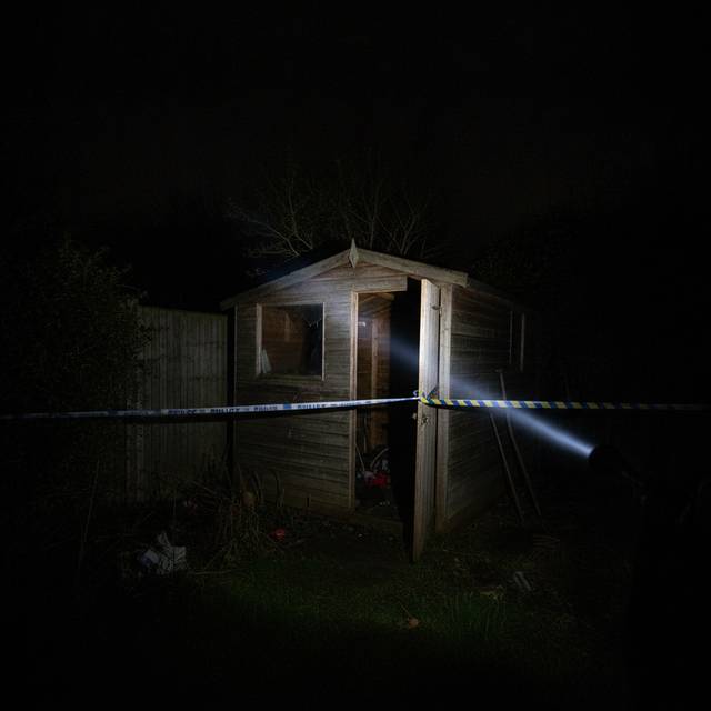 Photograph illustrating: Illegal tiger removed from garden shed after WiggyTinkles staff member kept it as a 'personal project'